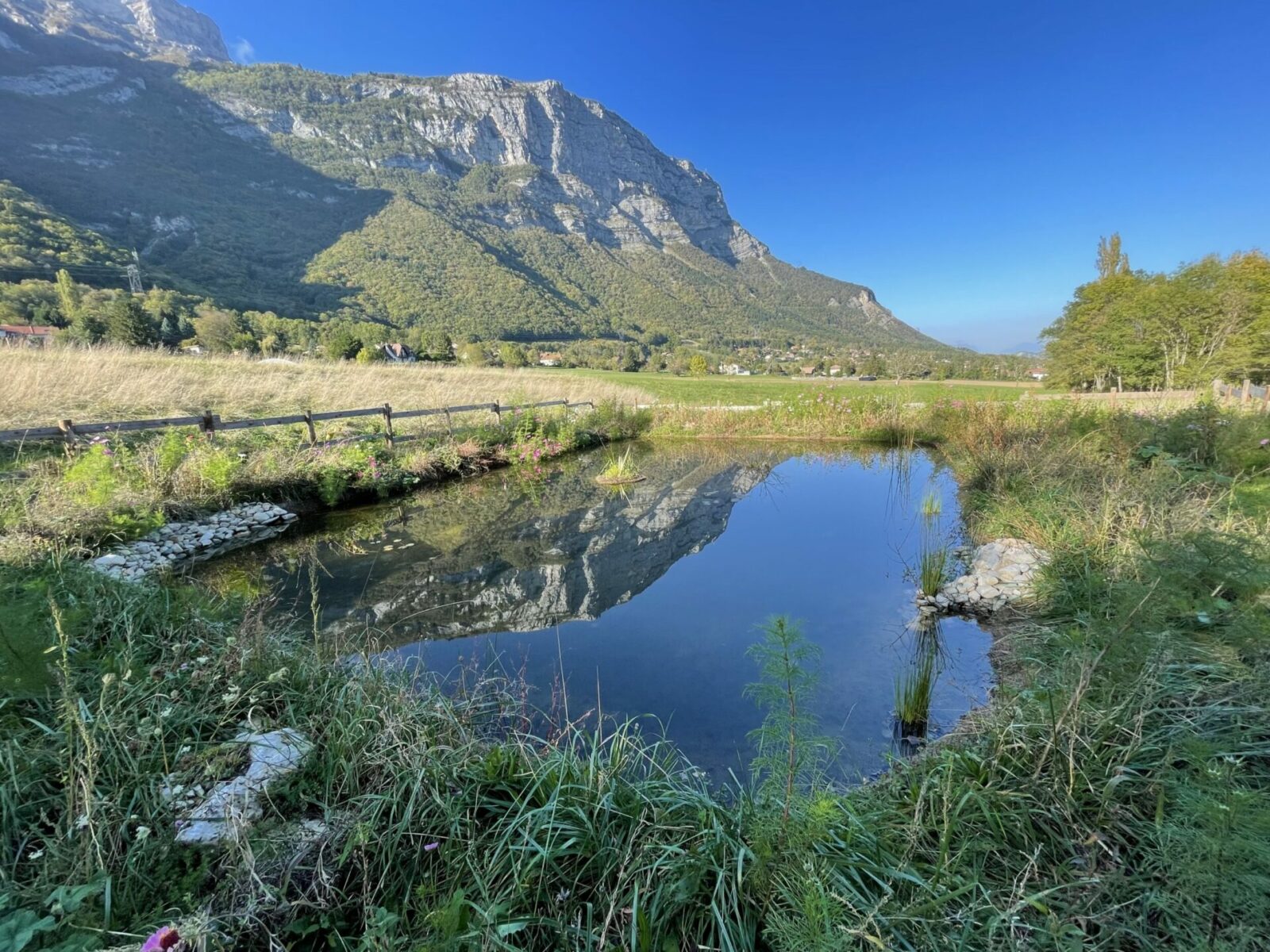"La mare est dans le pré" ! 100 mares pour ramener la vie dans les campagnes d’Auvergne-Rhône-Alpes